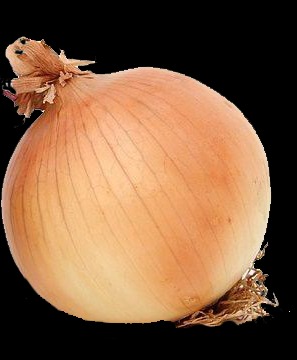 fresh onions link