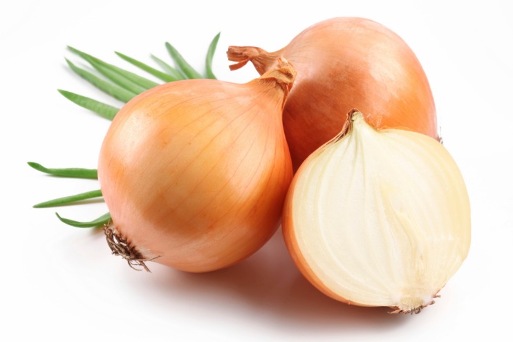 onion directory 2023
