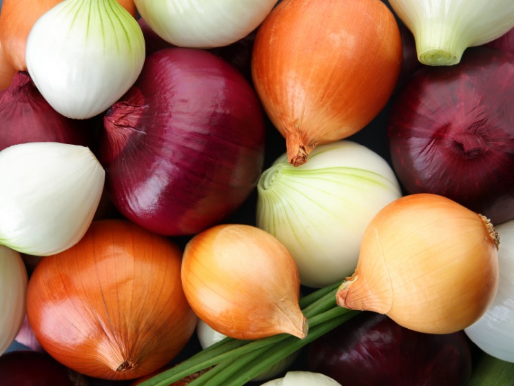 onion seiten 2023
