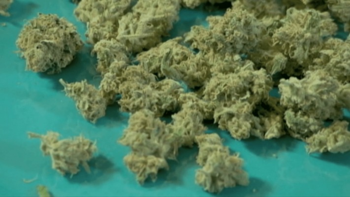 marijuana dark web
