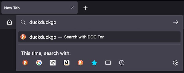 duckduckgo onion site