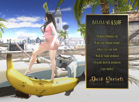 how to surf the dark web
