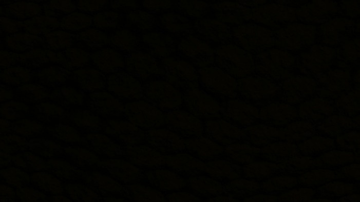 black market webshop