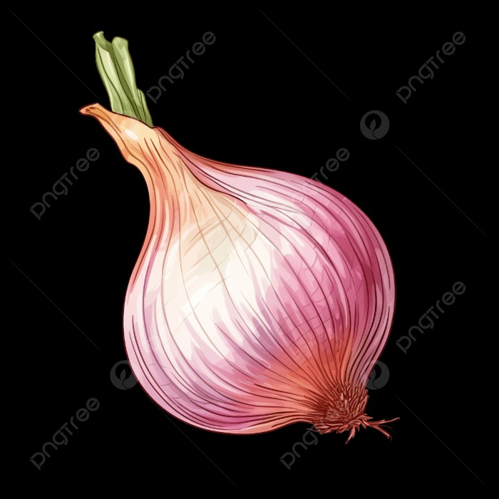 onion domain and kingdom