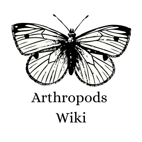hidden uncensored wiki