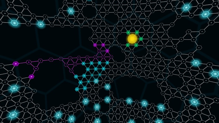 how to anonymously use darknet markets