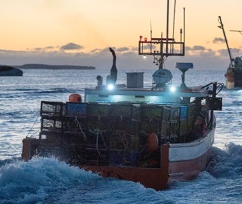 illegal black market