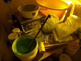 darknet market buying mdma usa