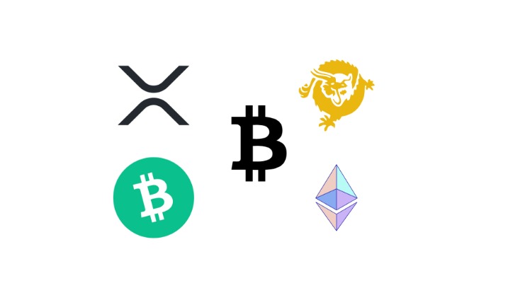 darknet markets fake id