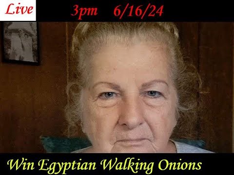 onion live links