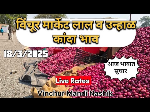 live onion market