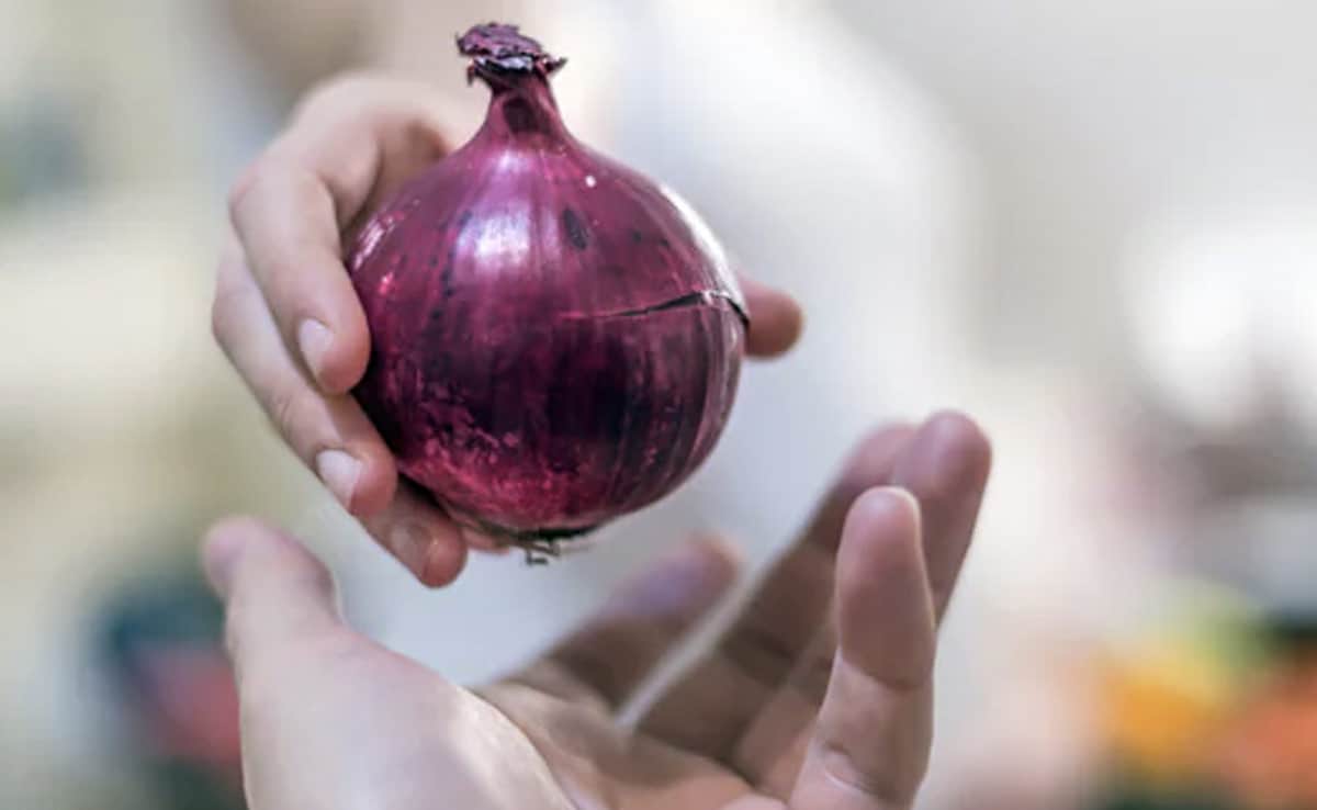 darknet onion markets reddit