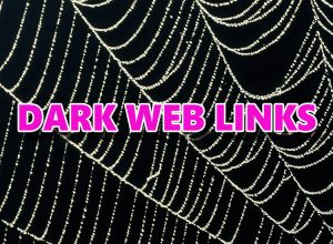 new dark web links