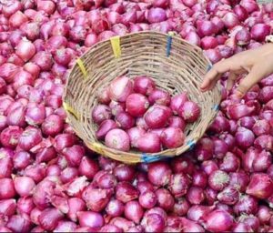 new onion darknet market