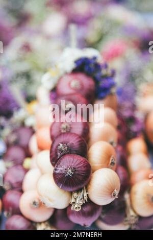 onion market