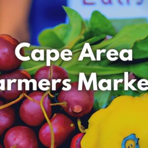 darknet markets 2025 updated