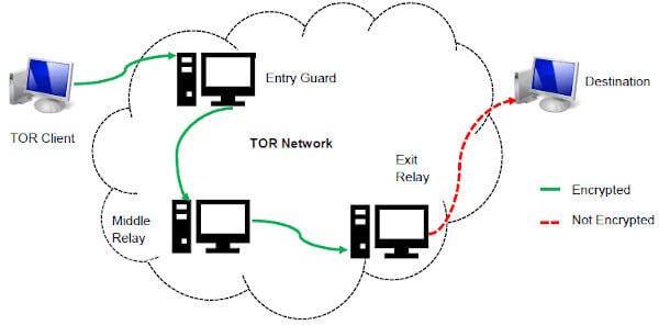 what is on the dark web