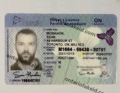 darknet markets fake id