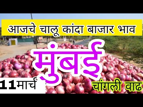 live onion