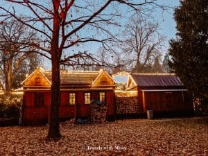 dark markets luxembourg