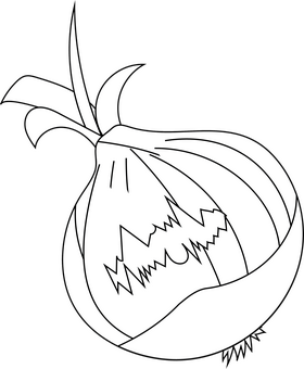 .onion links