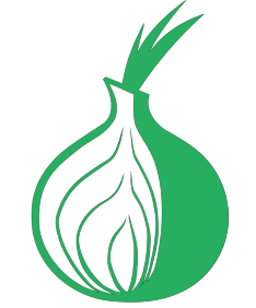acess the dark web